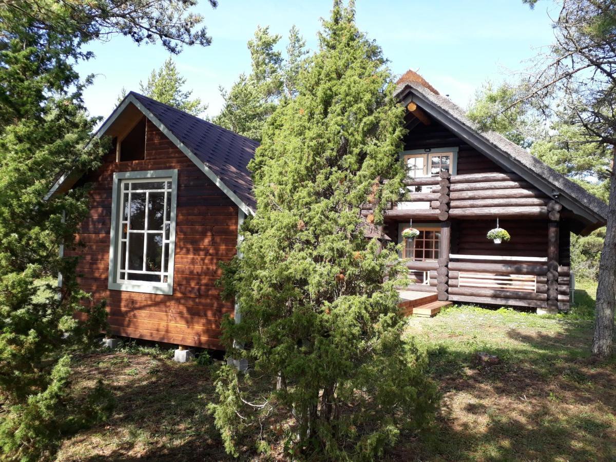 Paehkli Seaside Cottage With Cozy Outdoor Patio Koiguste Exterior photo